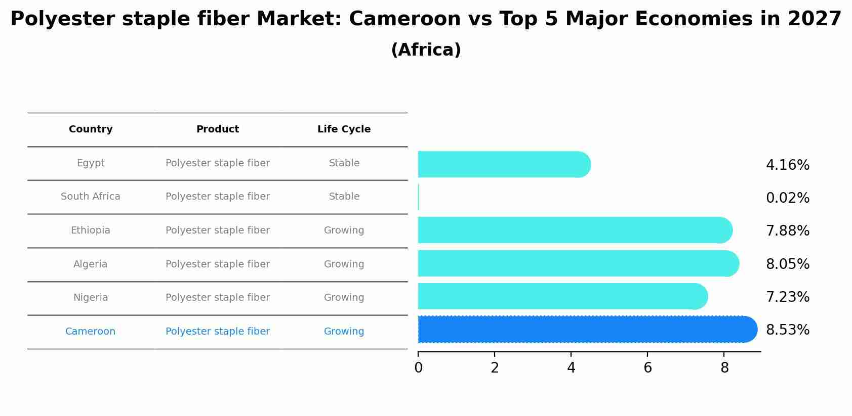 Polyester staple fiber Market: Cameroon vs Top 5 Major Economies in 2027 (Africa)