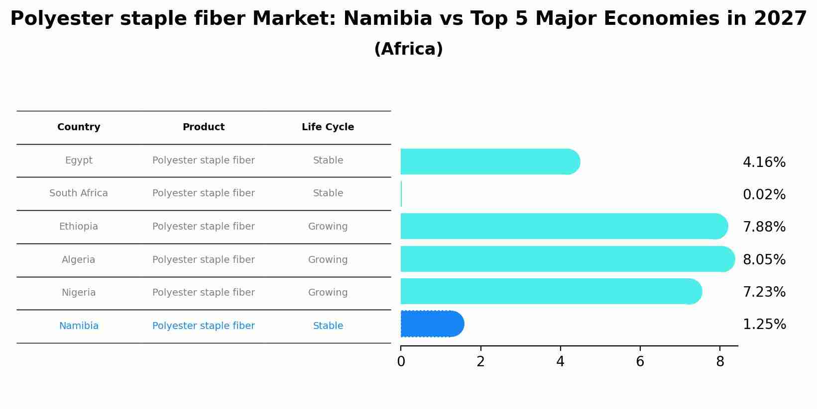 Polyester staple fiber Market: Namibia vs Top 5 Major Economies in 2027 (Africa)