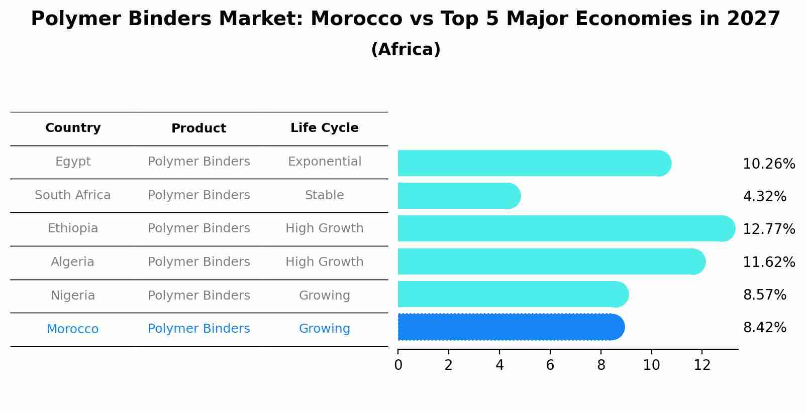 Polymer Binders Market: Morocco vs Top 5 Major Economies in 2027 (Africa)