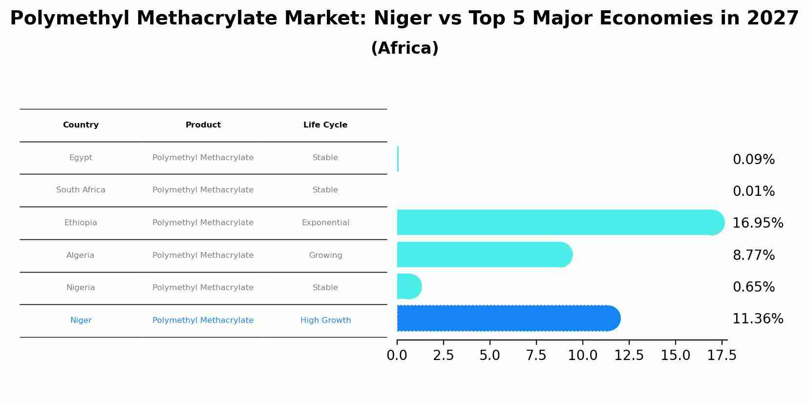 Polymethyl Methacrylate Market: Niger vs Top 5 Major Economies in 2027 (Africa)