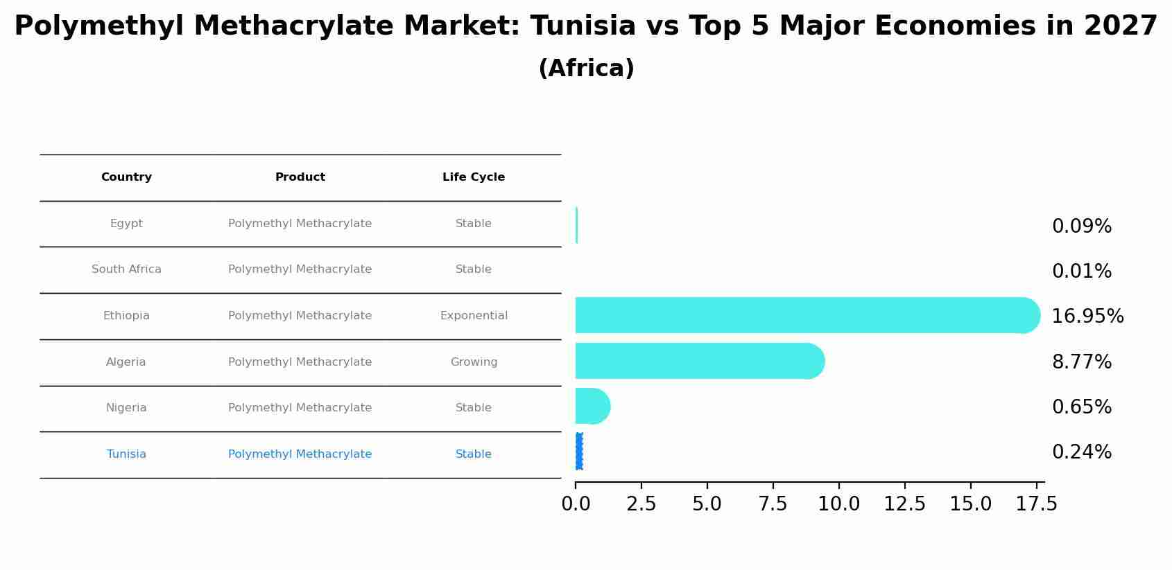 Polymethyl Methacrylate Market: Tunisia vs Top 5 Major Economies in 2027 (Africa)