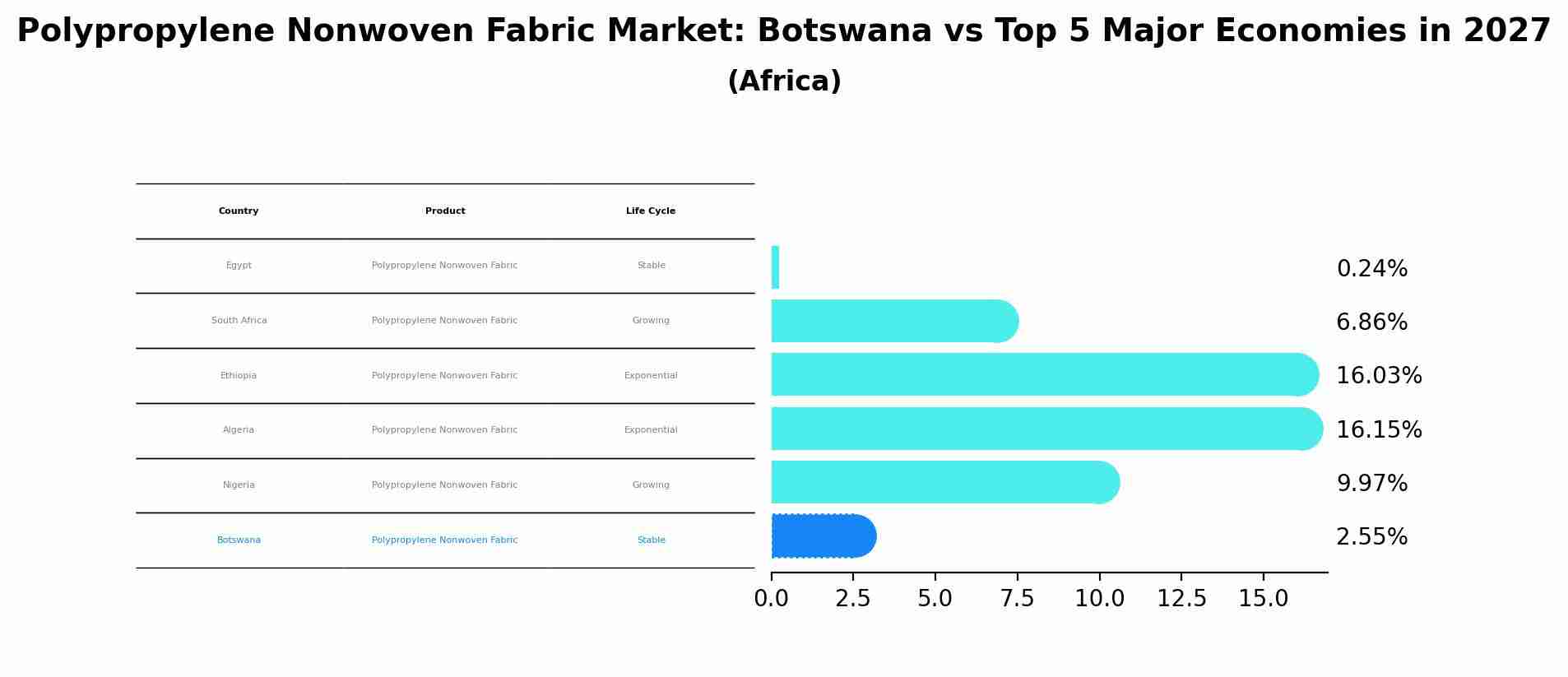 Polypropylene Nonwoven Fabric Market: Botswana vs Top 5 Major Economies in 2027 (Africa)