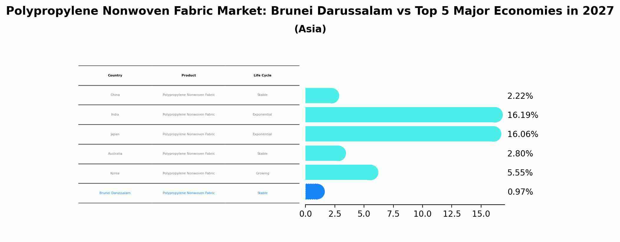 Polypropylene Nonwoven Fabric Market: Brunei Darussalam vs Top 5 Major Economies in 2027 (Asia)