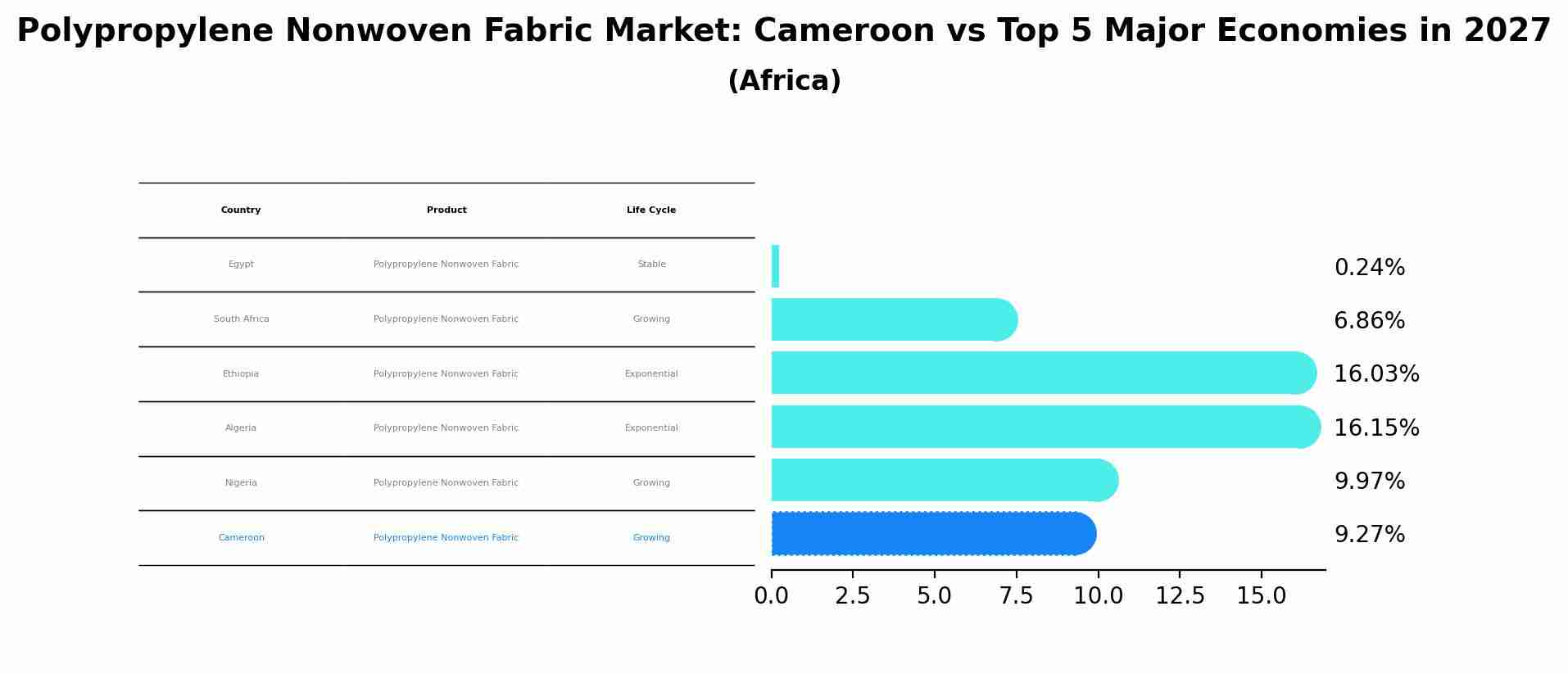 Polypropylene Nonwoven Fabric Market: Cameroon vs Top 5 Major Economies in 2027 (Africa)