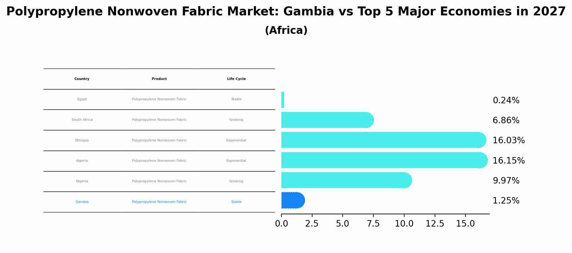 Polypropylene Nonwoven Fabric Market: Gambia vs Top 5 Major Economies in 2027 (Africa)