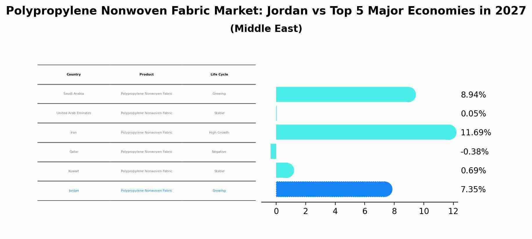 Polypropylene Nonwoven Fabric Market: Jordan vs Top 5 Major Economies in 2027 (Middle East)