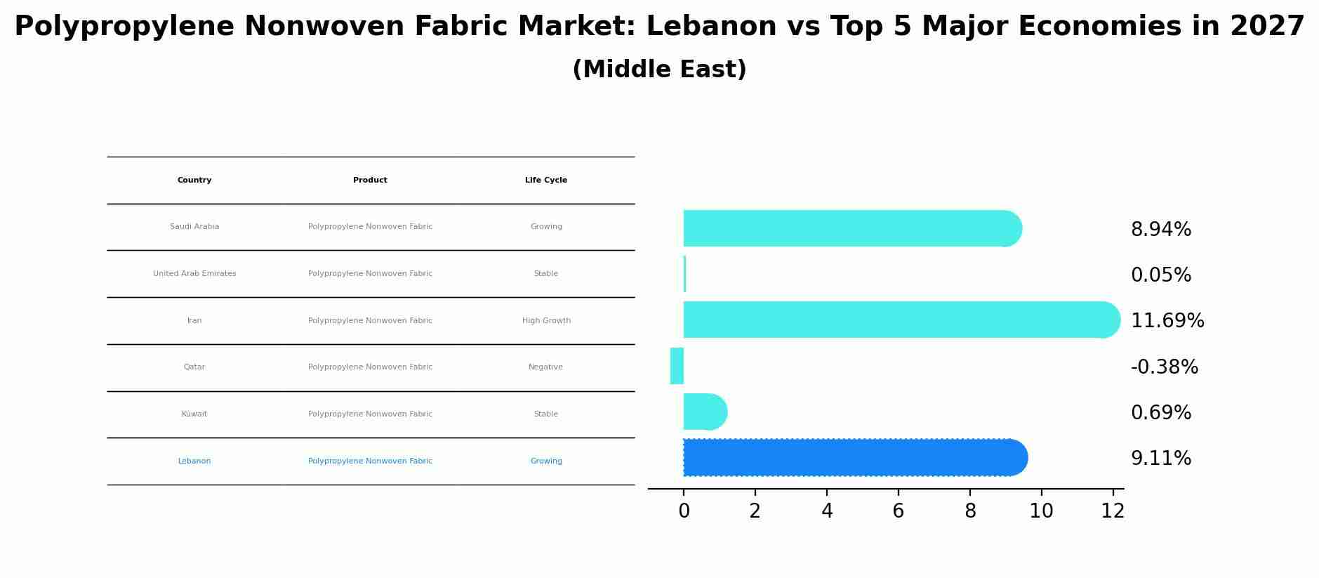 Polypropylene Nonwoven Fabric Market: Lebanon vs Top 5 Major Economies in 2027 (Middle East)