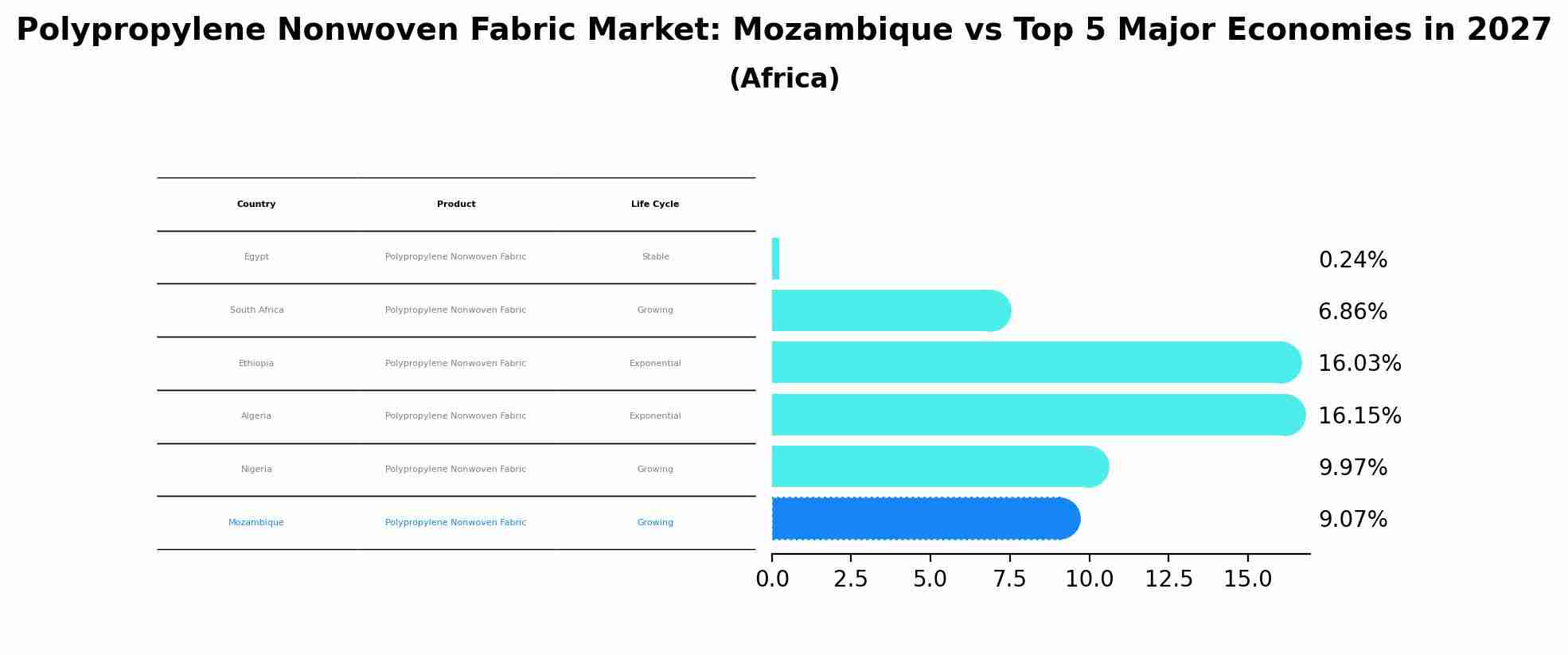 Polypropylene Nonwoven Fabric Market: Mozambique vs Top 5 Major Economies in 2027 (Africa)
