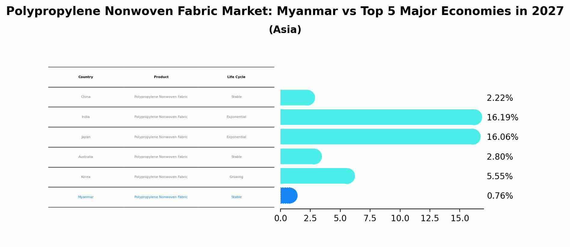 Polypropylene Nonwoven Fabric Market: Myanmar vs Top 5 Major Economies in 2027 (Asia)