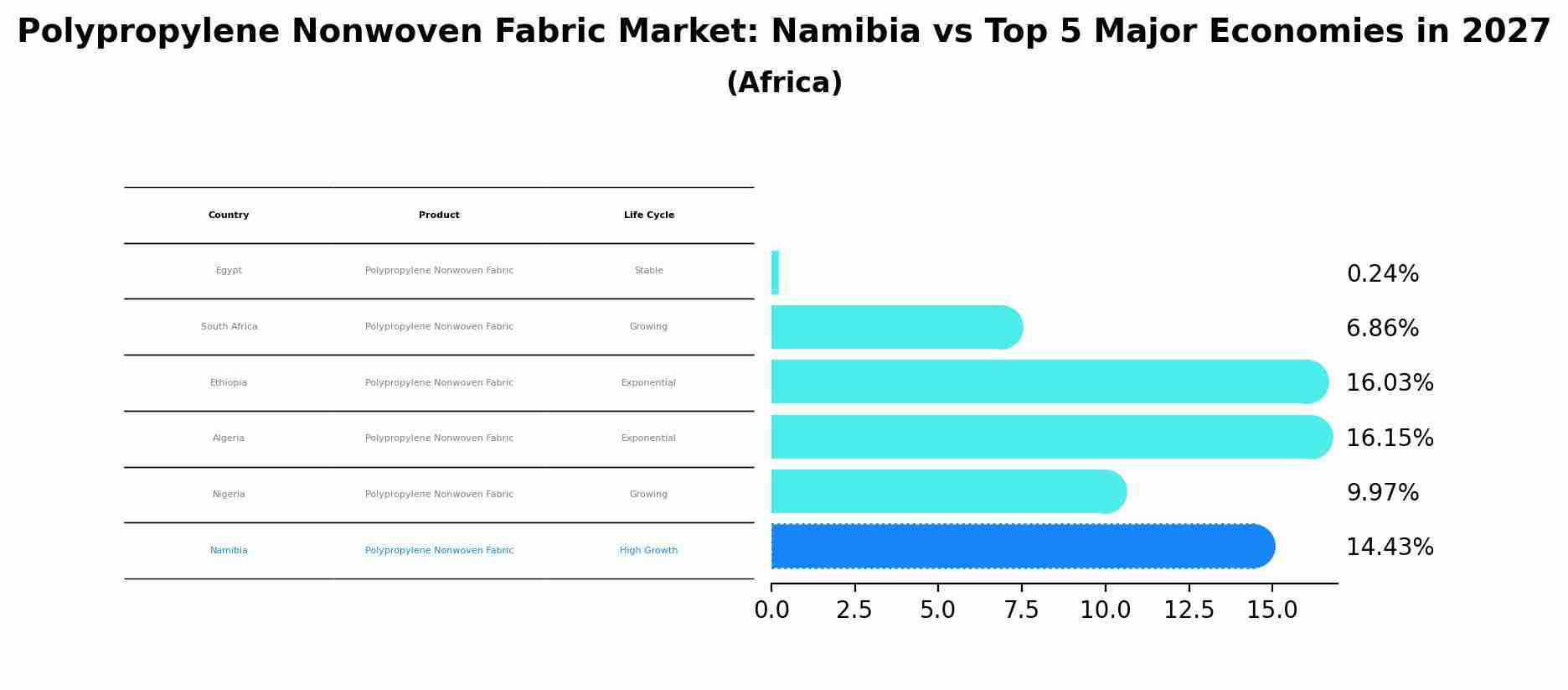 Polypropylene Nonwoven Fabric Market: Namibia vs Top 5 Major Economies in 2027 (Africa)