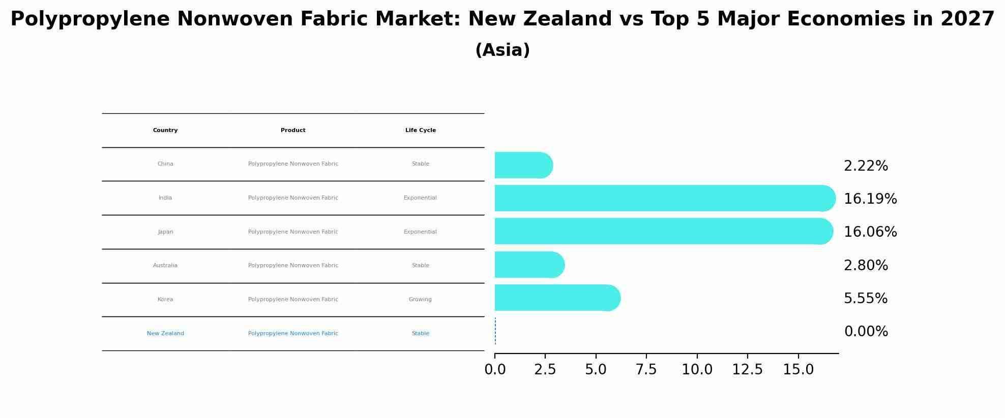 Polypropylene Nonwoven Fabric Market: New Zealand vs Top 5 Major Economies in 2027 (Asia)