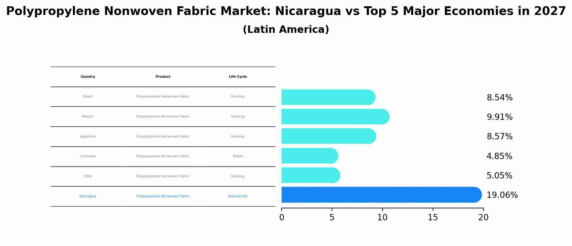 Polypropylene Nonwoven Fabric Market: Nicaragua vs Top 5 Major Economies in 2027 (Latin America)
