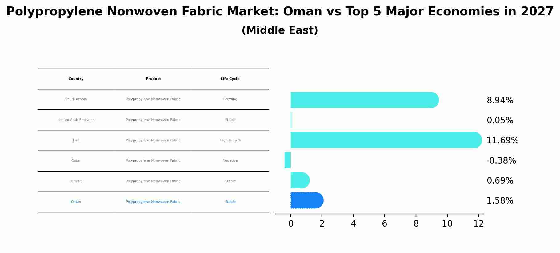 Polypropylene Nonwoven Fabric Market: Oman vs Top 5 Major Economies in 2027 (Middle East)