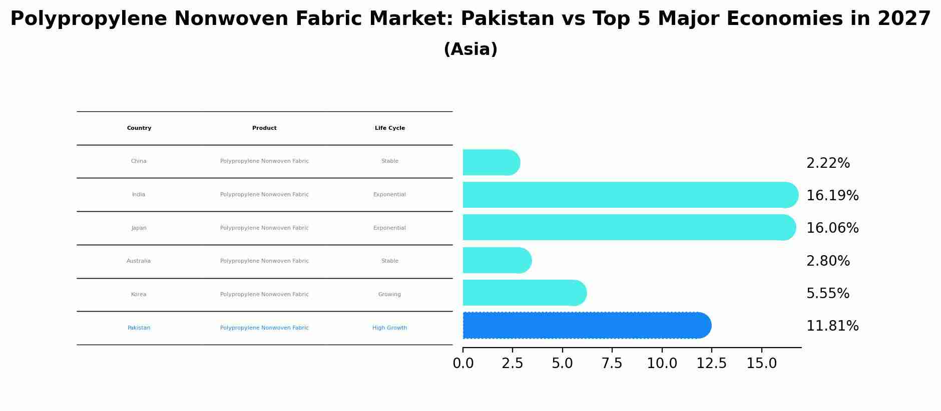 Polypropylene Nonwoven Fabric Market: Pakistan vs Top 5 Major Economies in 2027 (Asia)