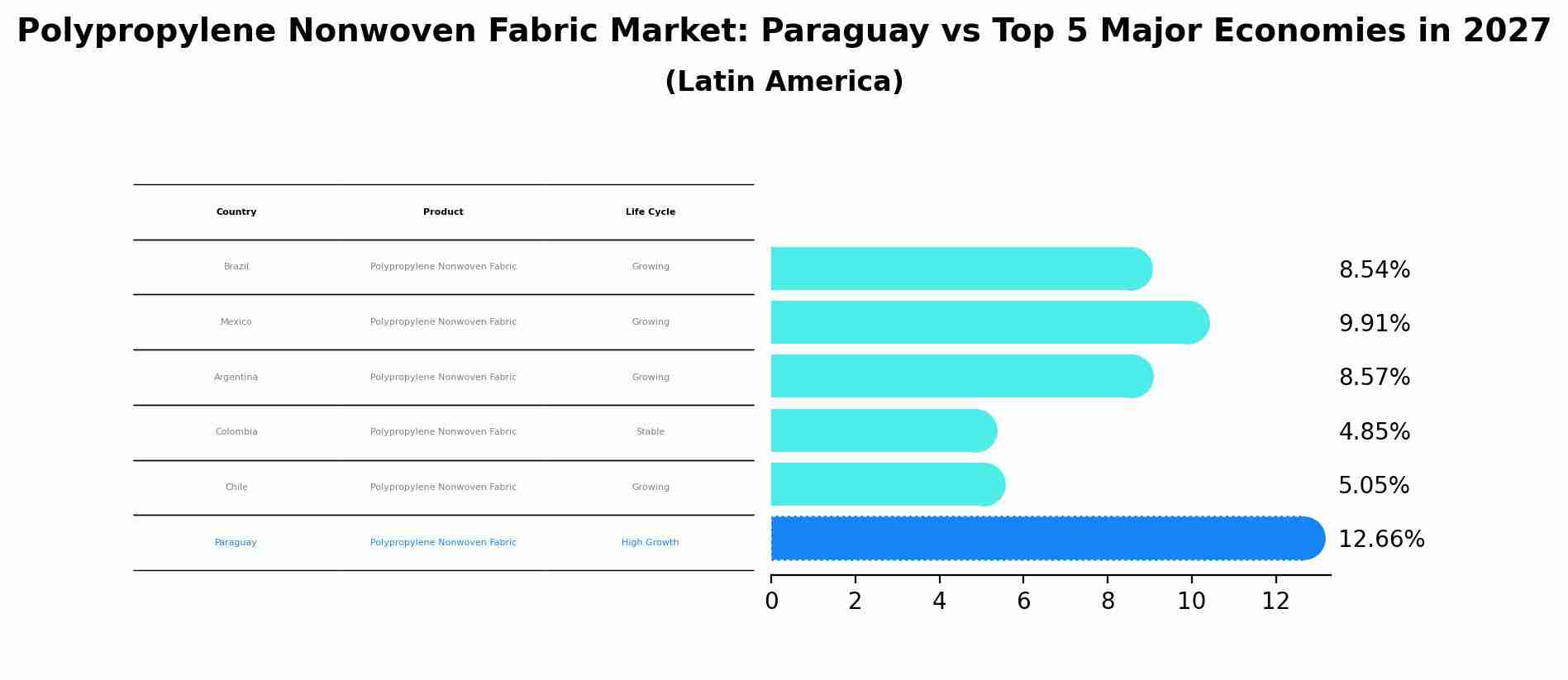 Polypropylene Nonwoven Fabric Market: Paraguay vs Top 5 Major Economies in 2027 (Latin America)