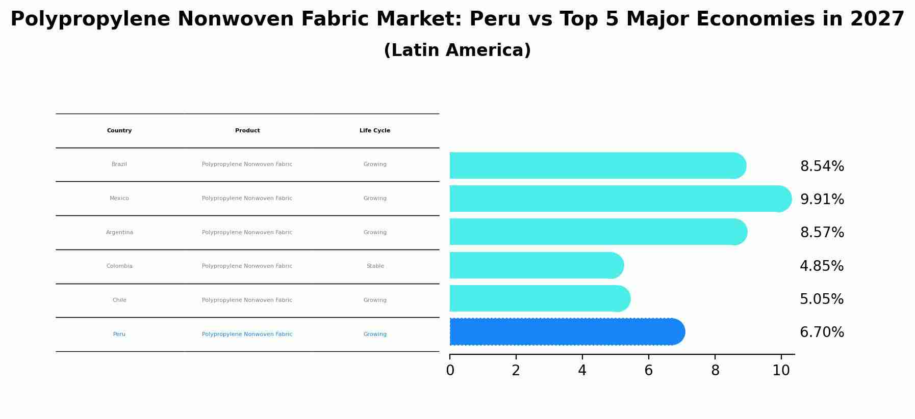 Polypropylene Nonwoven Fabric Market: Peru vs Top 5 Major Economies in 2027 (Latin America)