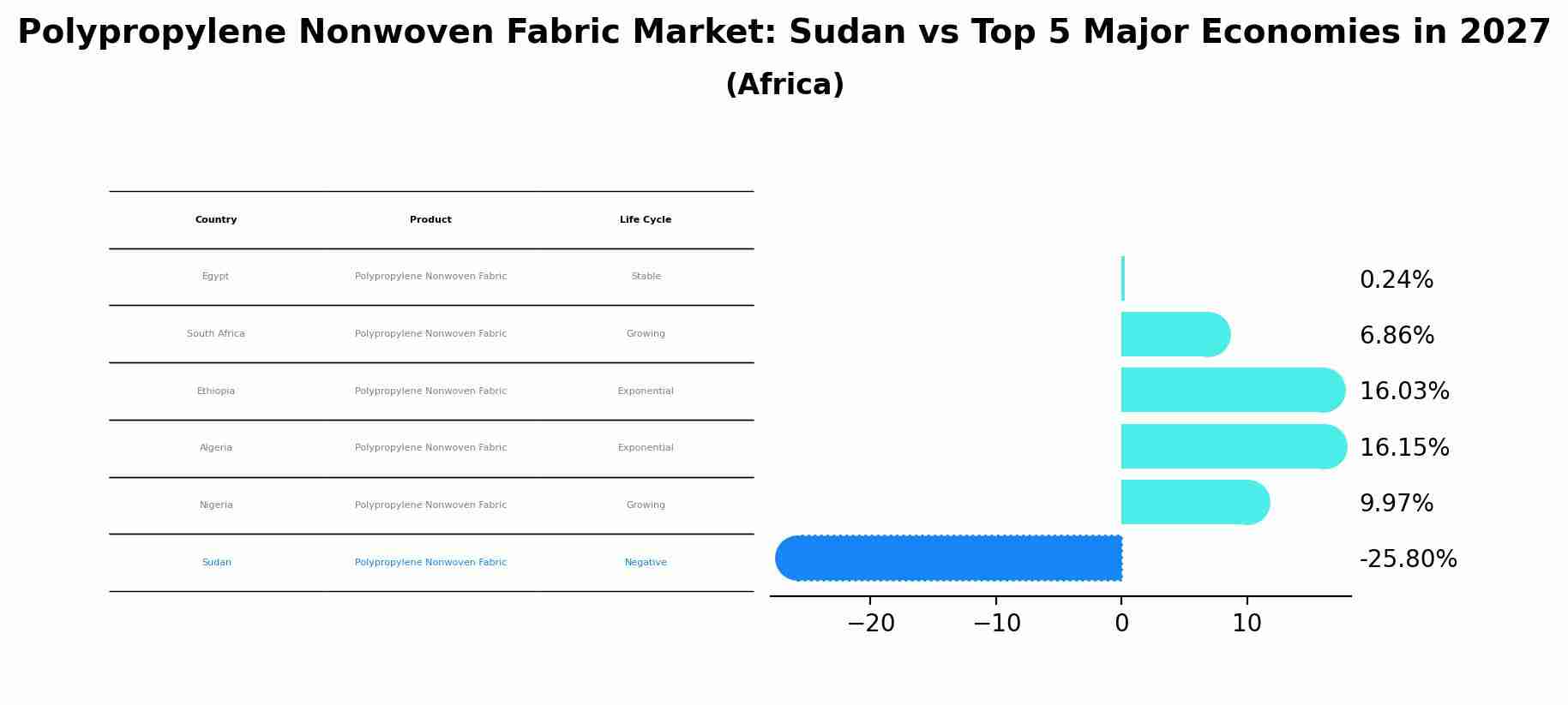 Polypropylene Nonwoven Fabric Market: Sudan vs Top 5 Major Economies in 2027 (Africa)