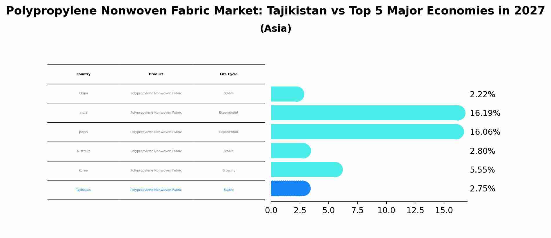Polypropylene Nonwoven Fabric Market: Tajikistan vs Top 5 Major Economies in 2027 (Asia)
