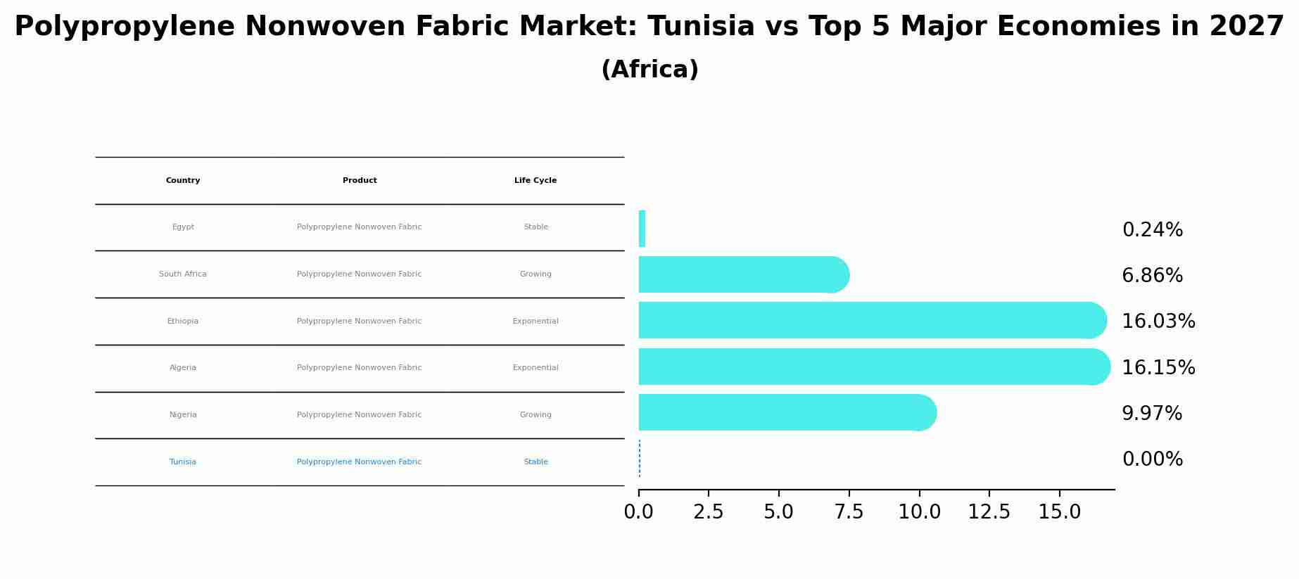Polypropylene Nonwoven Fabric Market: Tunisia vs Top 5 Major Economies in 2027 (Africa)