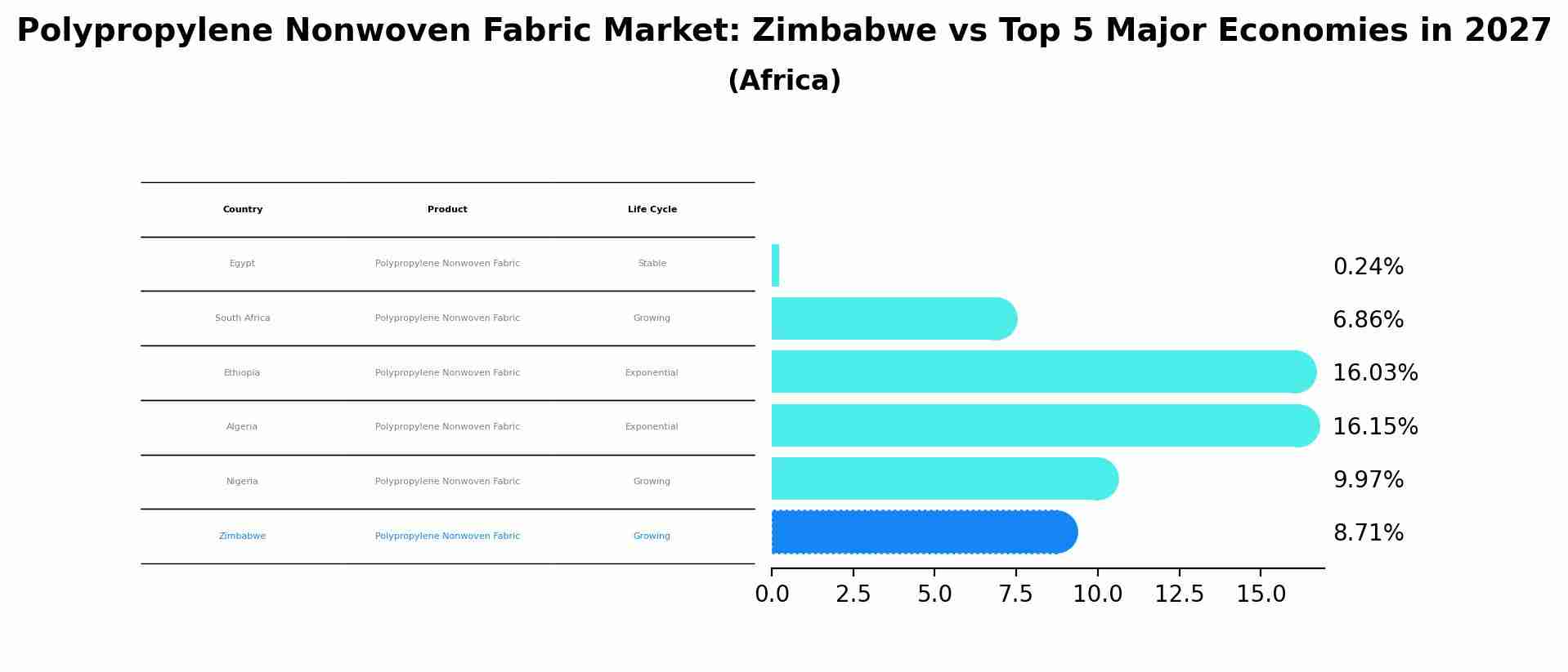Polypropylene Nonwoven Fabric Market: Zimbabwe vs Top 5 Major Economies in 2027 (Africa)
