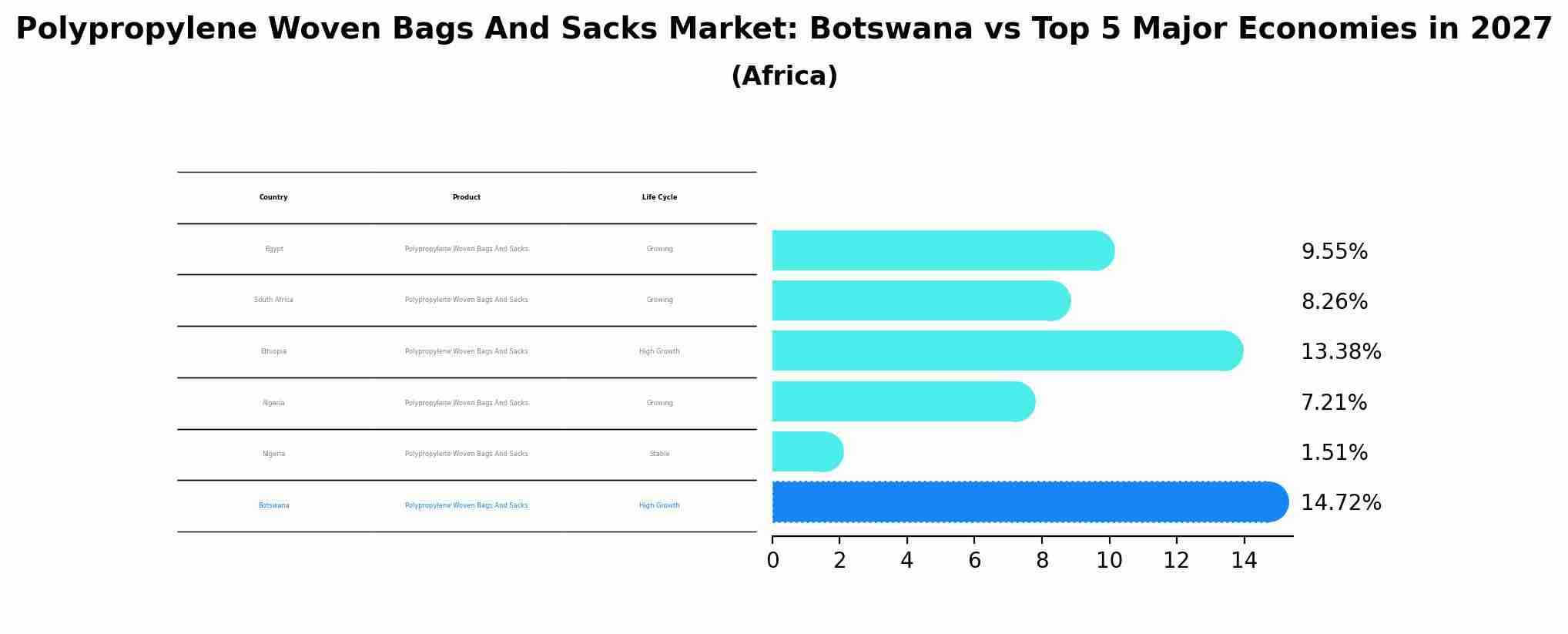Polypropylene Woven Bags And Sacks Market: Botswana vs Top 5 Major Economies in 2027 (Africa)