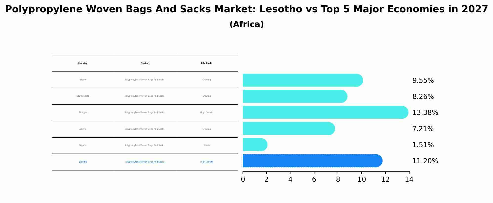 Polypropylene Woven Bags And Sacks Market: Lesotho vs Top 5 Major Economies in 2027 (Africa)