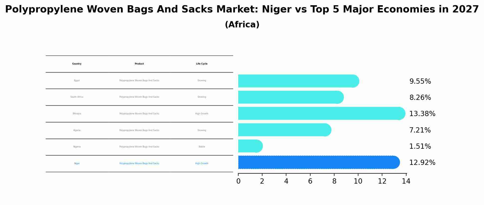 Polypropylene Woven Bags And Sacks Market: Niger vs Top 5 Major Economies in 2027 (Africa)