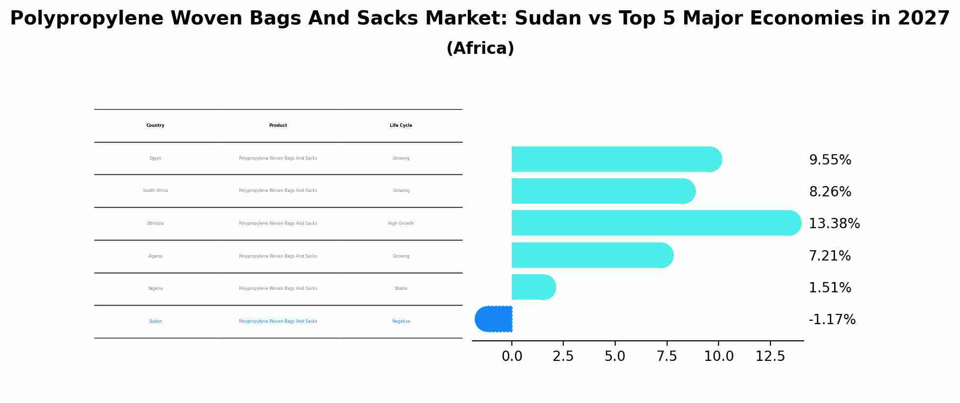 Polypropylene Woven Bags And Sacks Market: Sudan vs Top 5 Major Economies in 2027 (Africa)