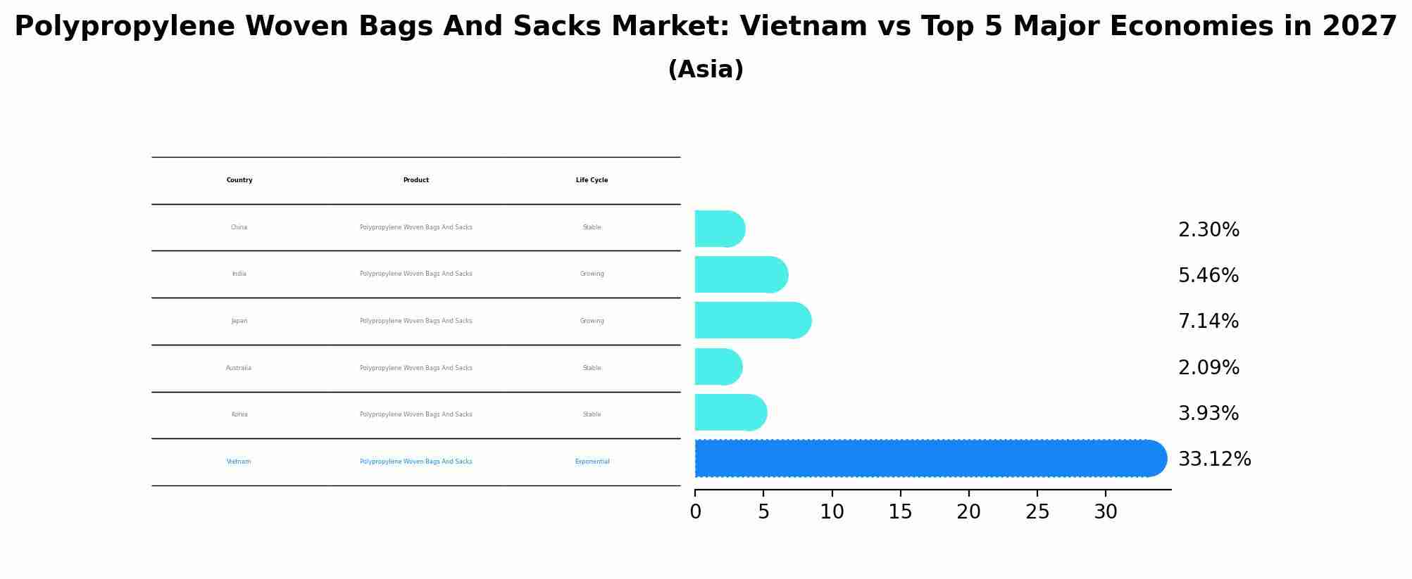 Polypropylene Woven Bags And Sacks Market: Vietnam vs Top 5 Major Economies in 2027 (Asia)