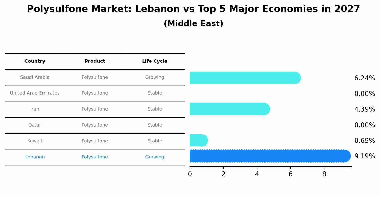 Polysulfone Market: Lebanon vs Top 5 Major Economies in 2027 (Middle East)