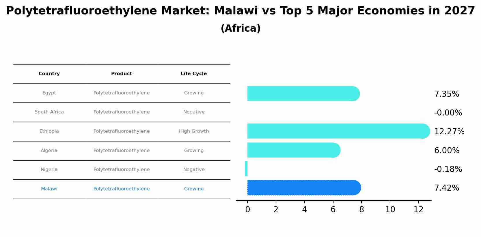 Polytetrafluoroethylene Market: Malawi vs Top 5 Major Economies in 2027 (Africa)