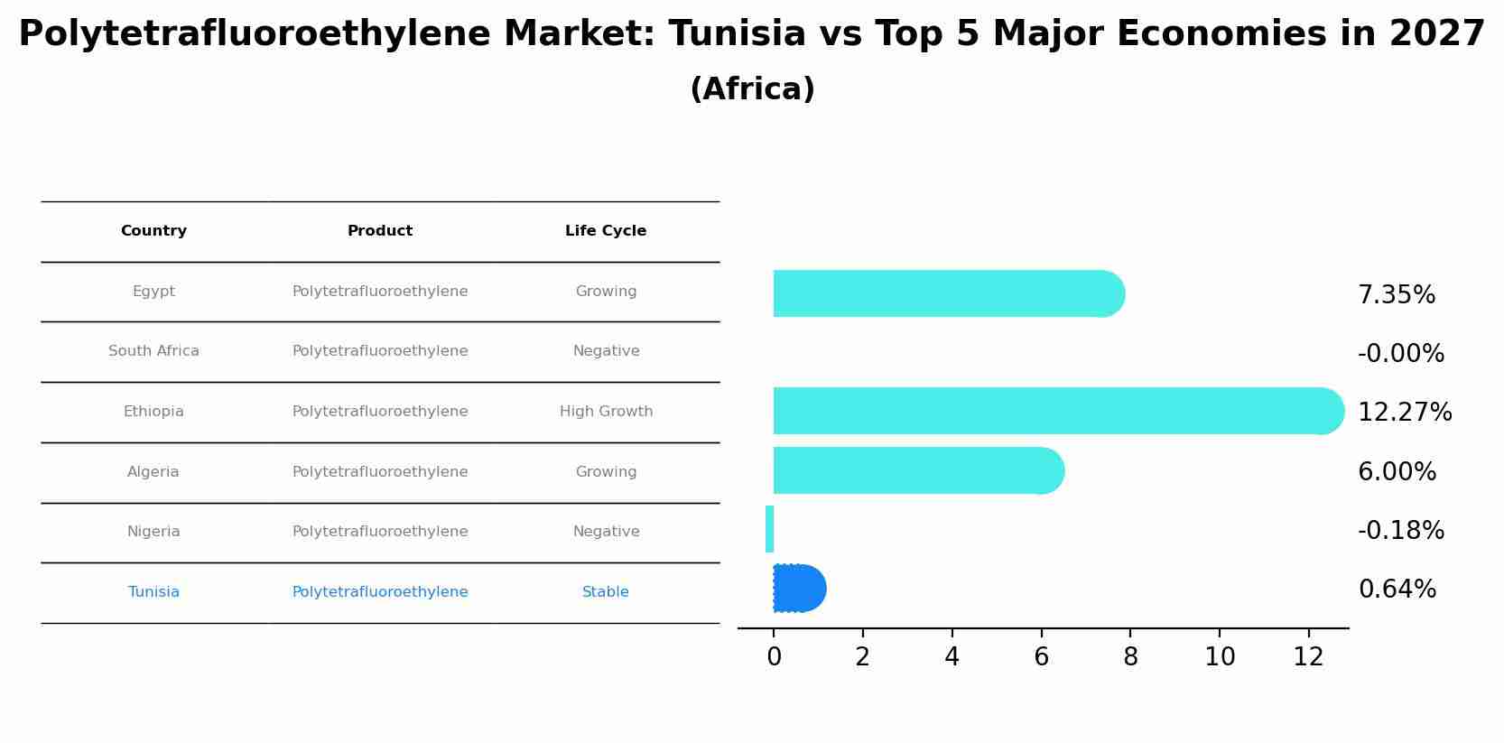 Polytetrafluoroethylene Market: Tunisia vs Top 5 Major Economies in 2027 (Africa)