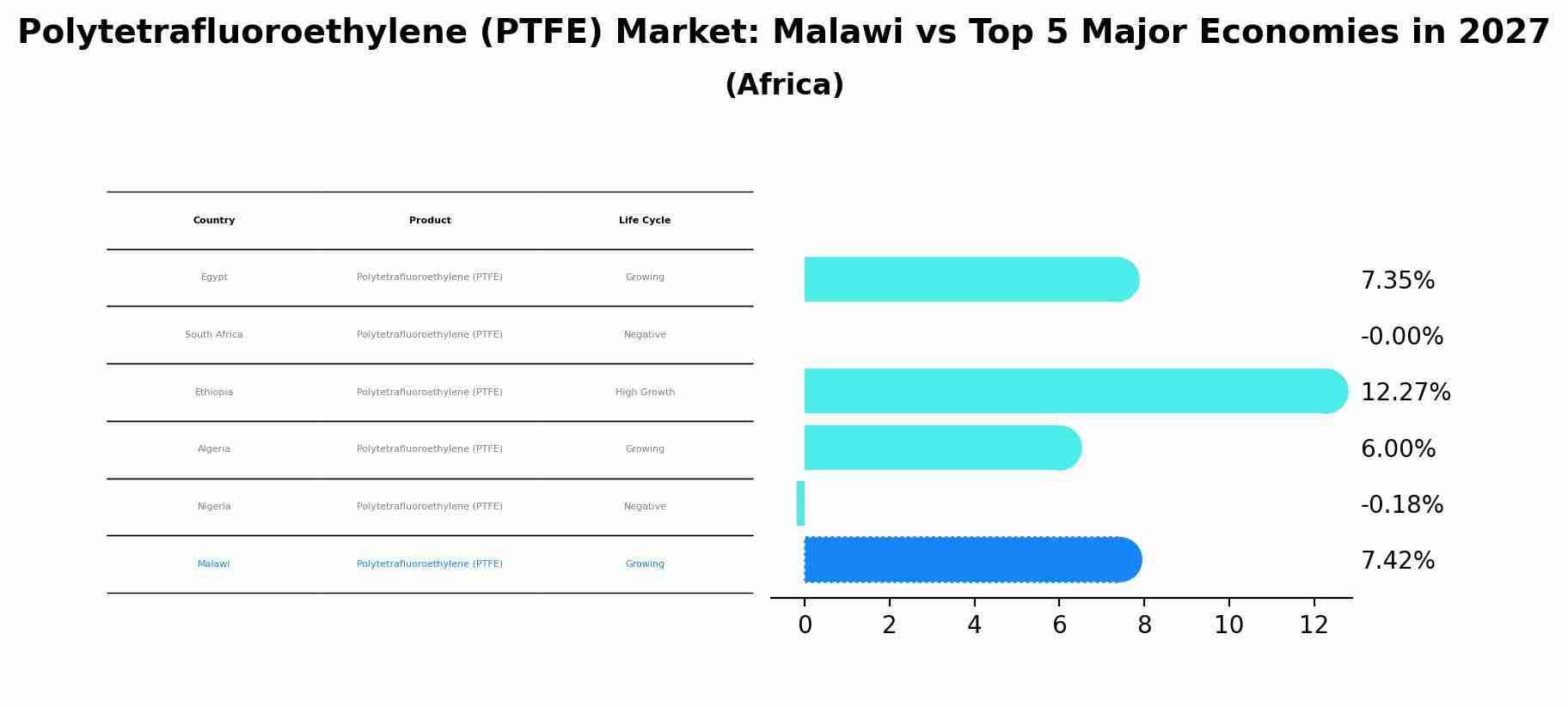 Polytetrafluoroethylene (PTFE) Market: Malawi vs Top 5 Major Economies in 2027 (Africa)
