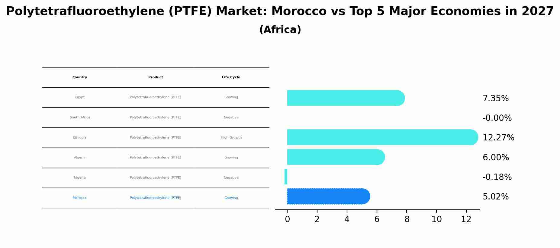 Polytetrafluoroethylene (PTFE) Market: Morocco vs Top 5 Major Economies in 2027 (Africa)