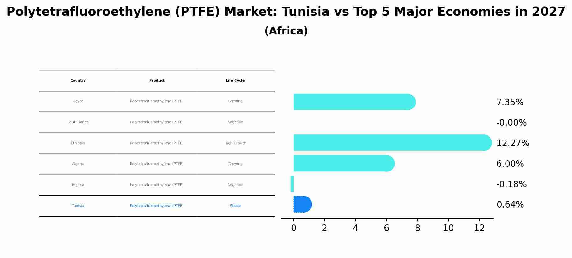 Polytetrafluoroethylene (PTFE) Market: Tunisia vs Top 5 Major Economies in 2027 (Africa)