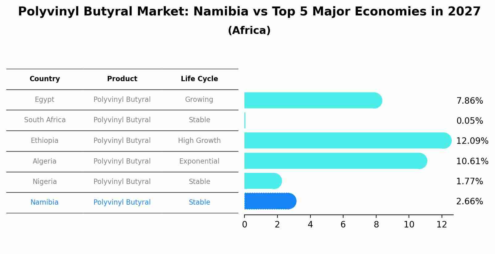 Polyvinyl Butyral Market: Namibia vs Top 5 Major Economies in 2027 (Africa)