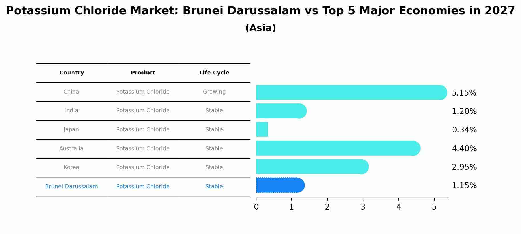 Potassium Chloride Market: Brunei Darussalam vs Top 5 Major Economies in 2027 (Asia)