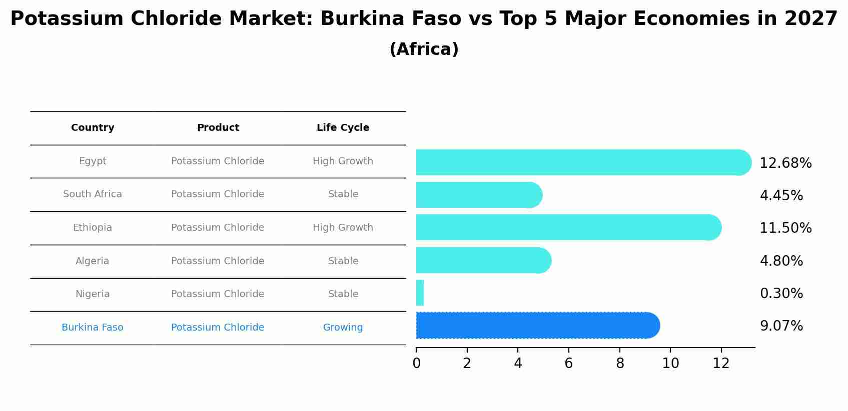 Potassium Chloride Market: Burkina Faso vs Top 5 Major Economies in 2027 (Africa)