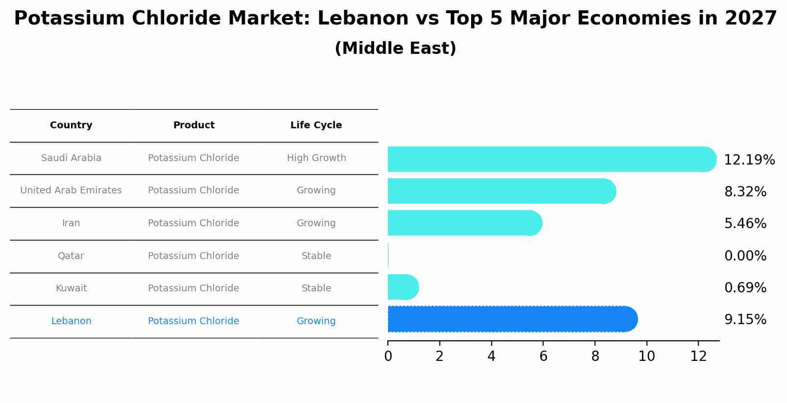 Potassium Chloride Market: Lebanon vs Top 5 Major Economies in 2027 (Middle East)