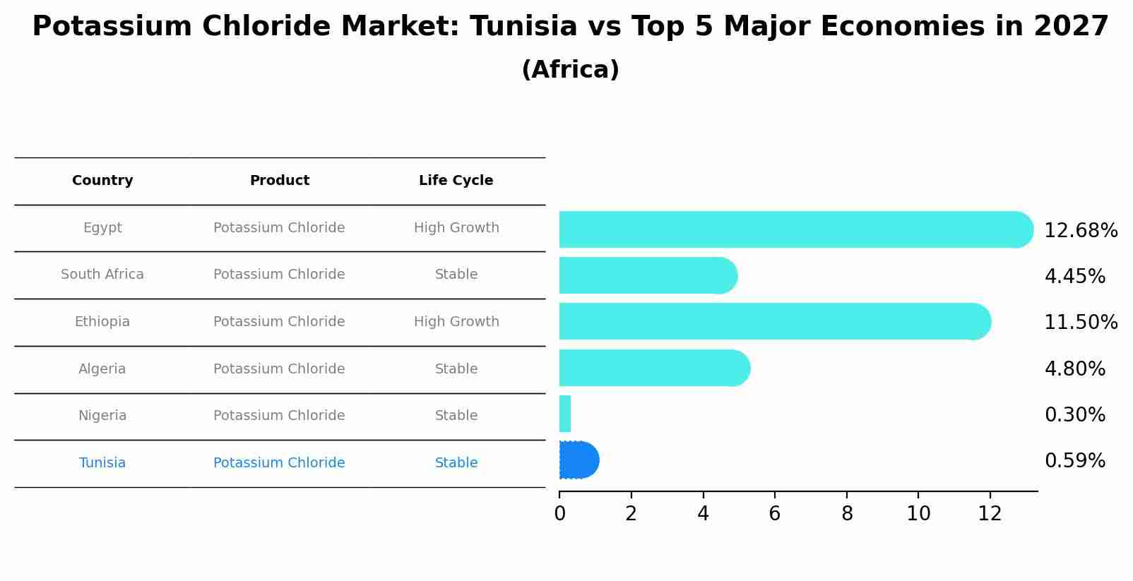 Potassium Chloride Market: Tunisia vs Top 5 Major Economies in 2027 (Africa)