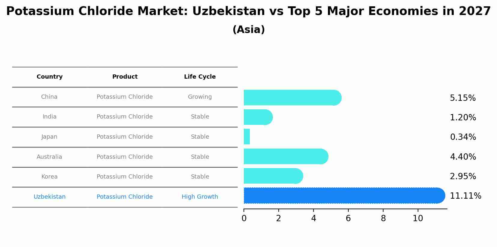 Potassium Chloride Market: Uzbekistan vs Top 5 Major Economies in 2027 (Asia)