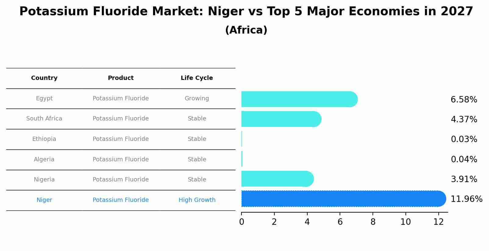 Potassium Fluoride Market: Niger vs Top 5 Major Economies in 2027 (Africa)