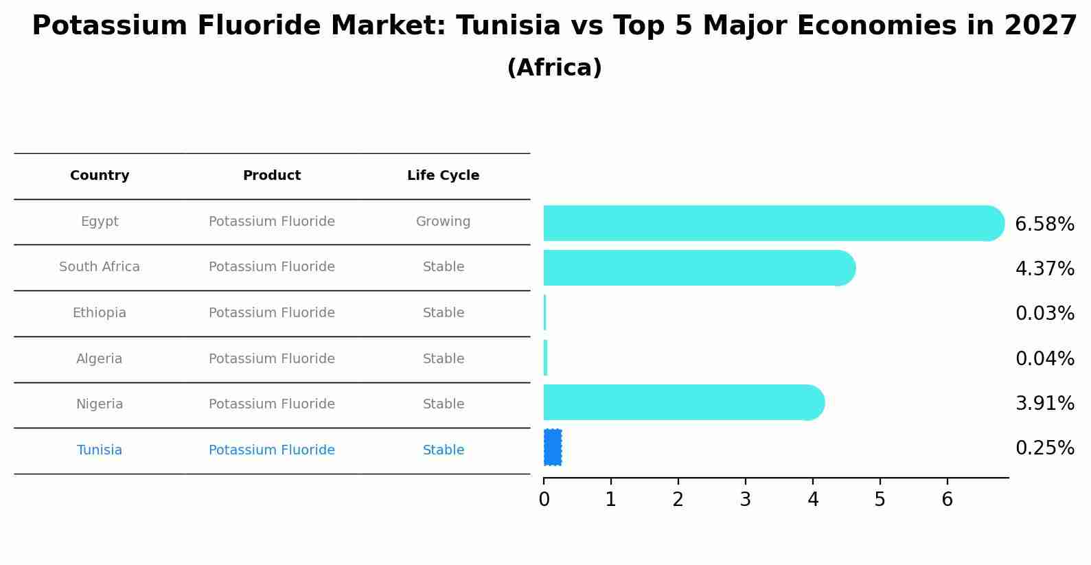 Potassium Fluoride Market: Tunisia vs Top 5 Major Economies in 2027 (Africa)