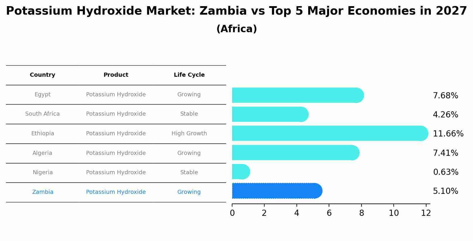 Potassium Hydroxide Market: Zambia vs Top 5 Major Economies in 2027 (Africa)