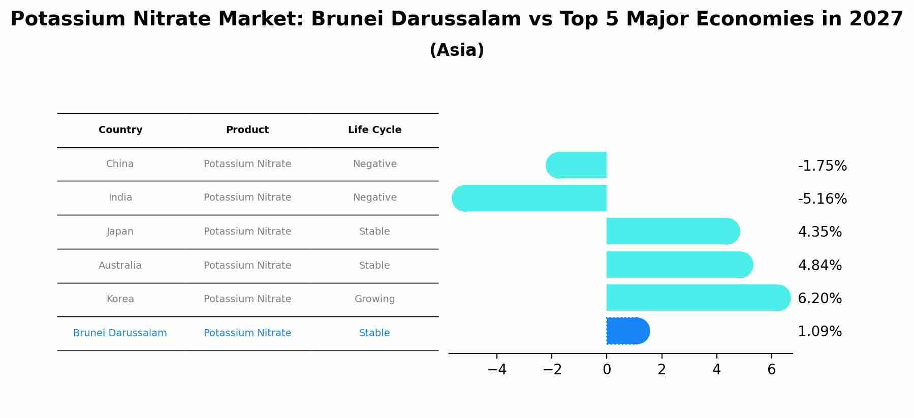 Potassium Nitrate Market: Brunei Darussalam vs Top 5 Major Economies in 2027 (Asia)