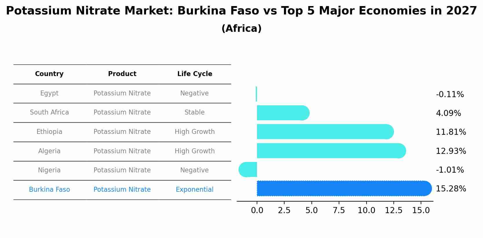 Potassium Nitrate Market: Burkina Faso vs Top 5 Major Economies in 2027 (Africa)