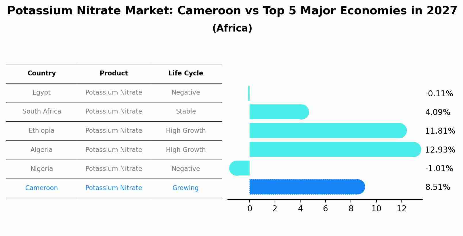 Potassium Nitrate Market: Cameroon vs Top 5 Major Economies in 2027 (Africa)