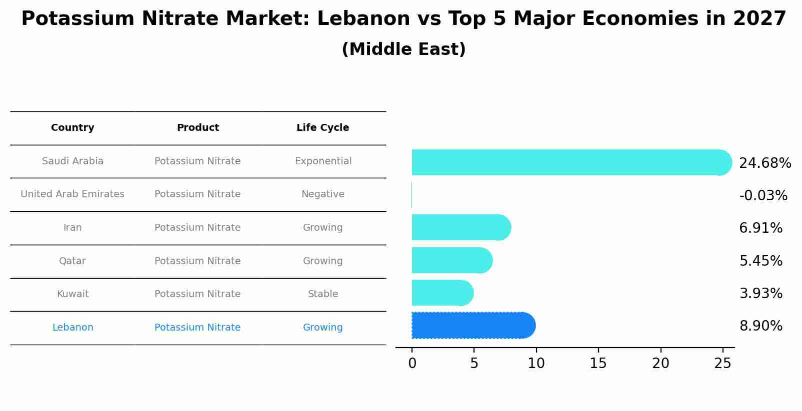 Potassium Nitrate Market: Lebanon vs Top 5 Major Economies in 2027 (Middle East)