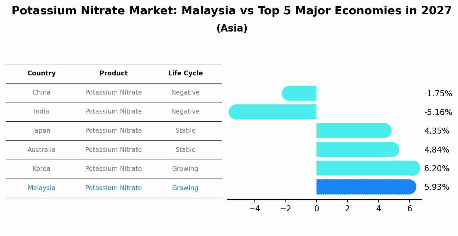 Potassium Nitrate Market: Malaysia vs Top 5 Major Economies in 2027 (Asia)