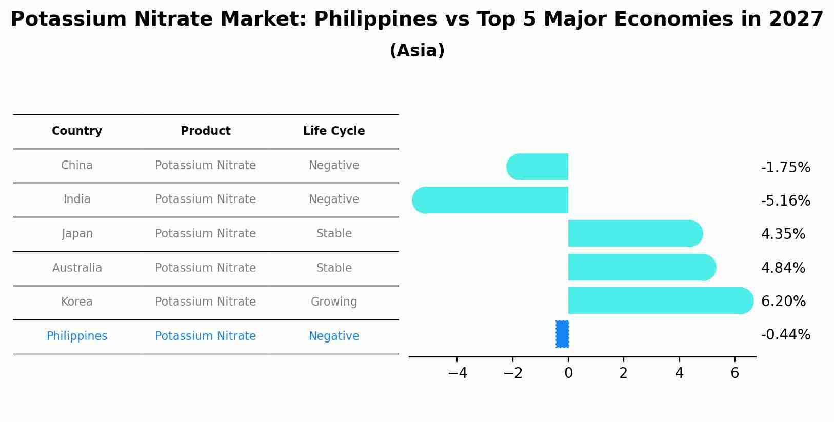 Potassium Nitrate Market: Philippines vs Top 5 Major Economies in 2027 (Asia)